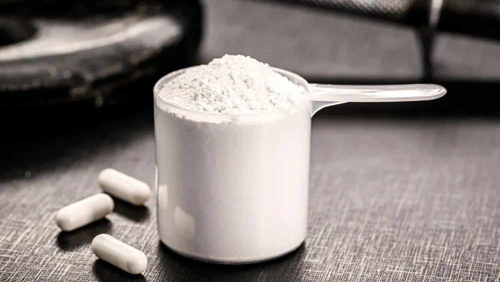 Photo d'une scoop d'acide aminé sous forme de poudre.