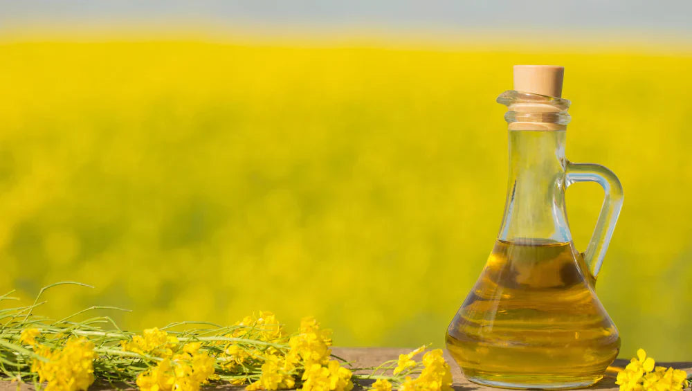 Photo d'une huile de colza avec un champs de colza en arrière plan.