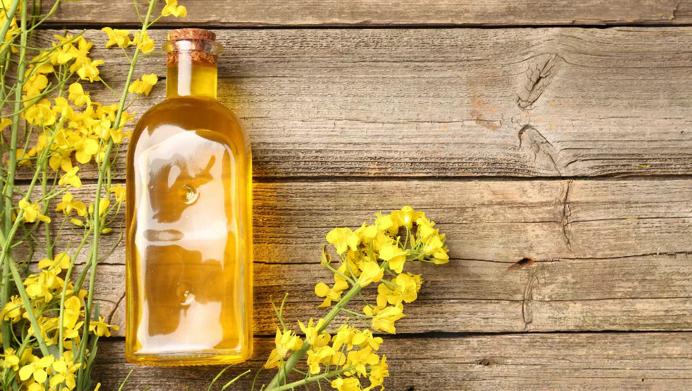 Image d'une huile de colza sur une table en bois avec la plante de colza à côté.