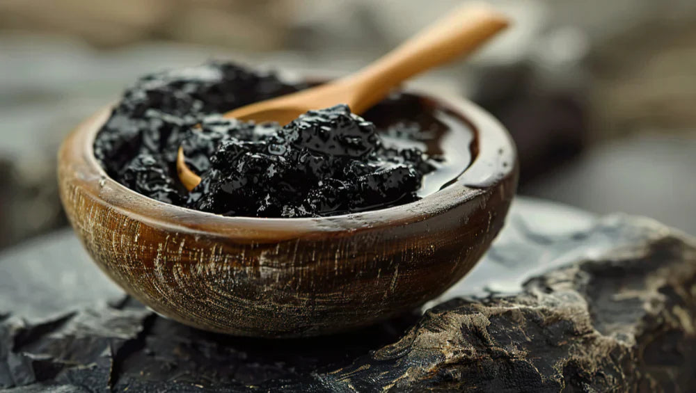 Resine de shilajit des montages d'Himalaya, en complément alimentaire