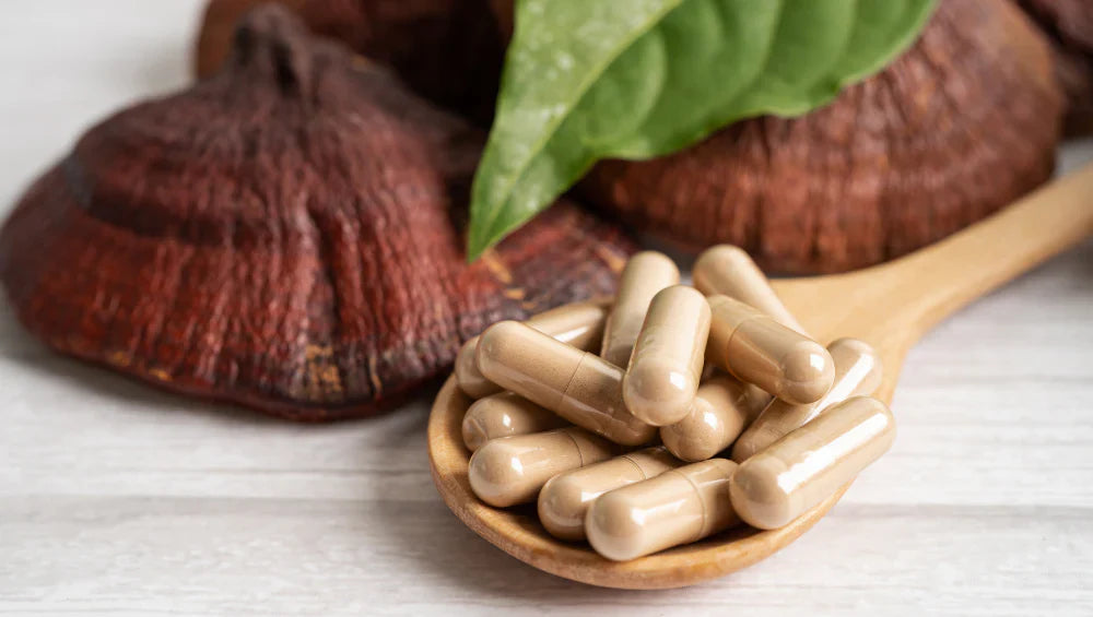 Champignon reishi sous forme de complément alimentaire en capsule, en arrière plan on voit la forme de champignon naturel reishi