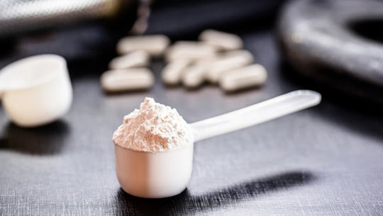 Image d'une scoop de créatine.
