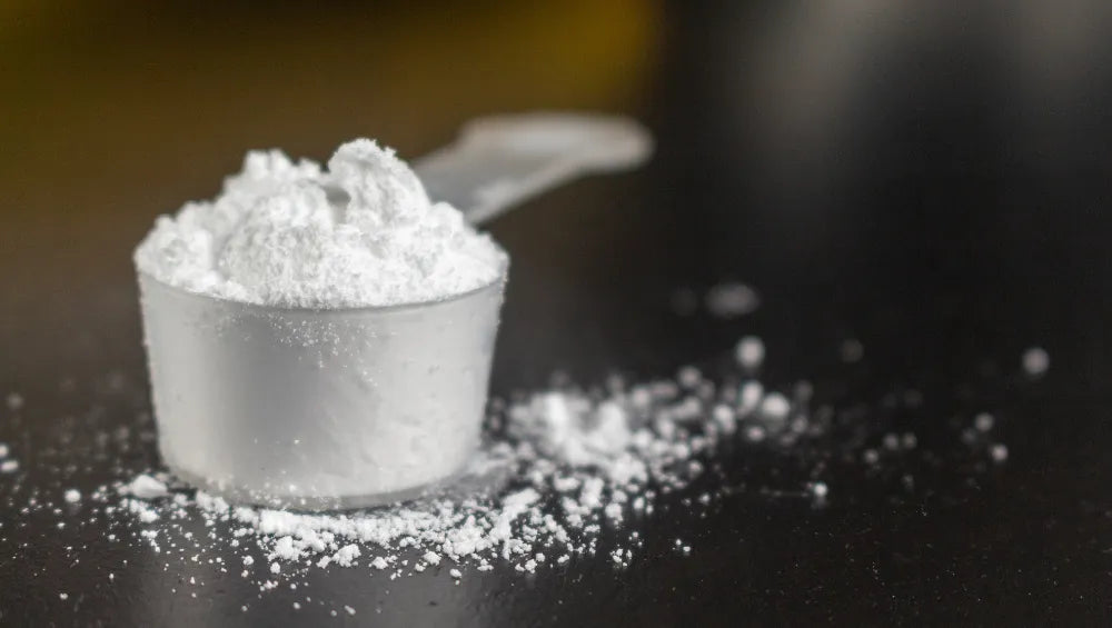Une scoop contenant de la poudre blanche