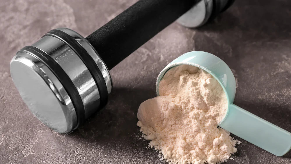 Photo d'une poudre de complément alimentaire en leucine, un acide aminé essentiel. 