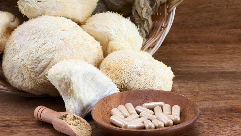 Image du champignon crinière de lion (lion's mane) avec des gélules en avant. 