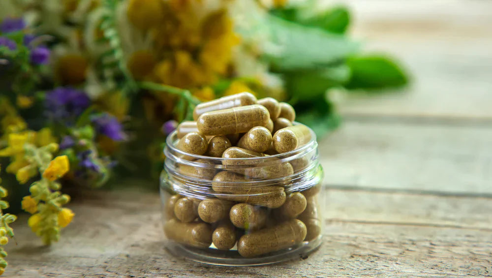 Photo de la plante Tribulus terrestris sous forme de complément alimentaire en gélules. 