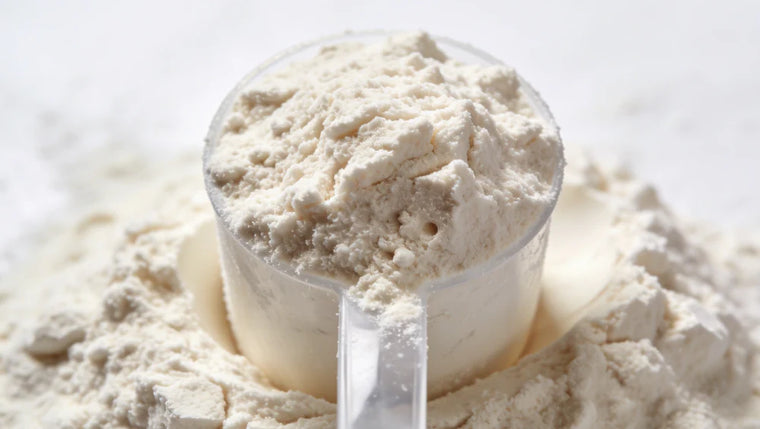 Image de whey isolate dans une scoop.