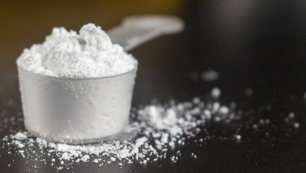 Photo d'une poudre de taurine en complément alimentaire. 